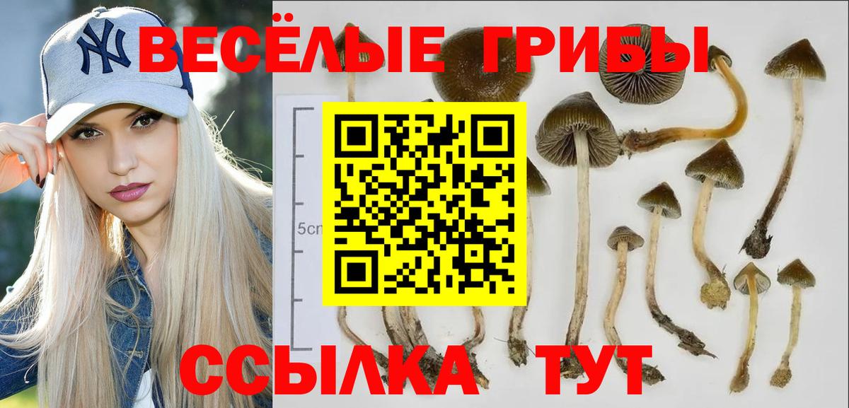 Галлюциногенные грибы GOLDEN TEACHER Конаково