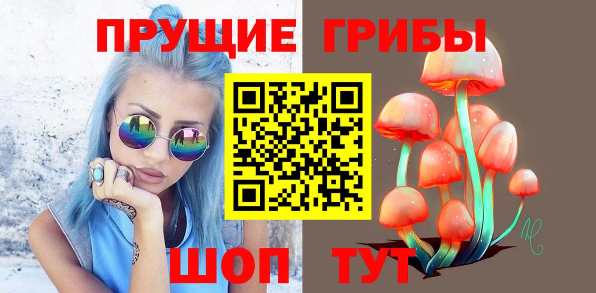 Галлюциногенные грибы MAGIC MUSHROOMS  Вход с VPN  Галлюциногенные грибы Psilocybine cubensis  Конаково 
